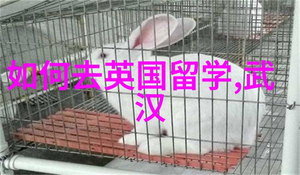 东北大学2023年国家公派留学生项目选拔通知